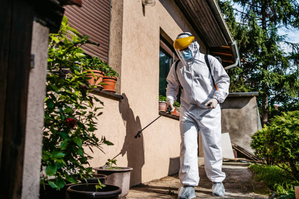 Best Local Pest Control Services  in Sebastopol, CA