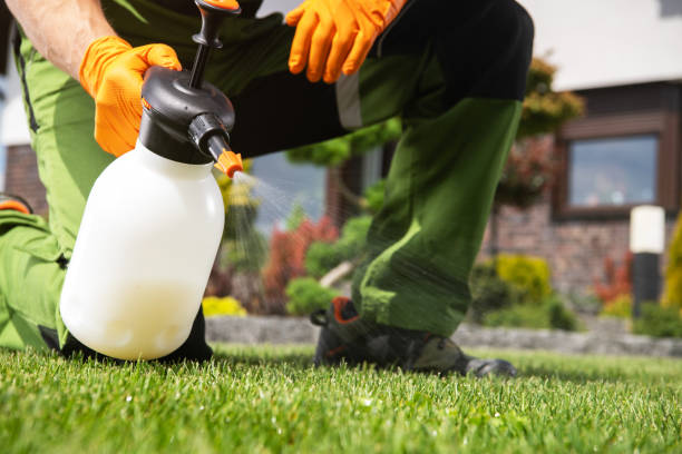 Best Pest Prevention Services  in Sebastopol, CA