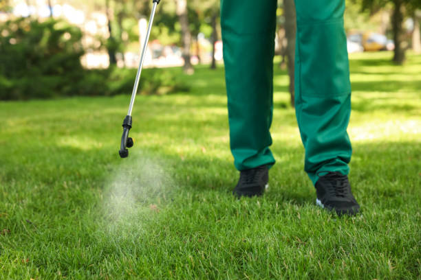 Best Cockroach Control Services  in Sebastopol, CA