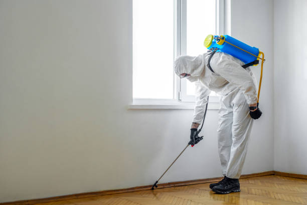 Best Flea Control Services  in Sebastopol, CA