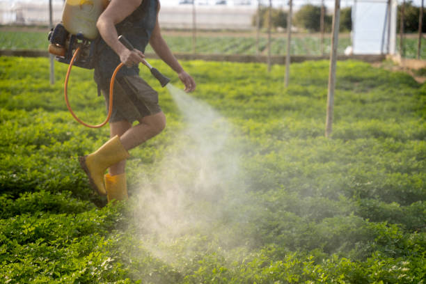 Best Pest Control Near Me in Sebastopol, CA