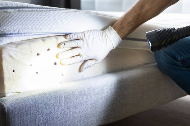 Best Pest Removal Services  in Sebastopol, CA