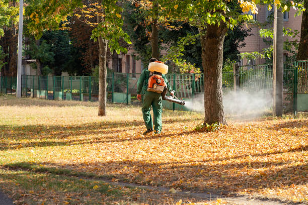 Best Insect Control  in Sebastopol, CA