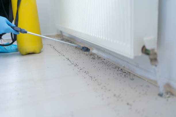 Sebastopol, CA Pest Control Company