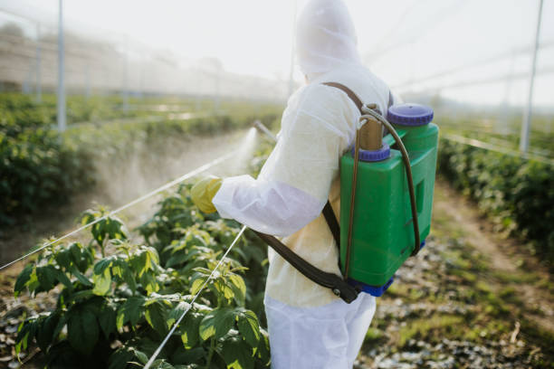 Bird Control in Sebastopol, CA